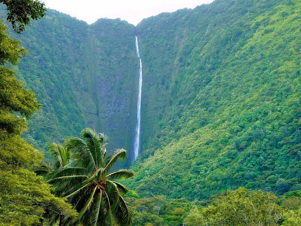 شقة Hale “Ha Ha” Pahoa المظهر الخارجي الصورة